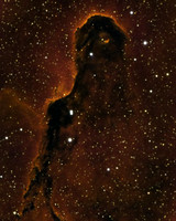 IC1396A - Elephant Trunk Nebula
