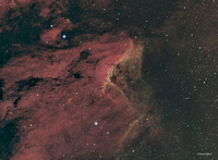 IC5070 - Pelican Nebula