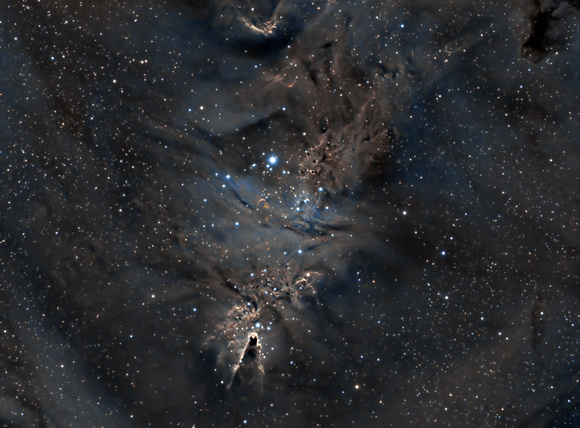 NGC2264 - Christmas Tree Cluster with Cone Nebula