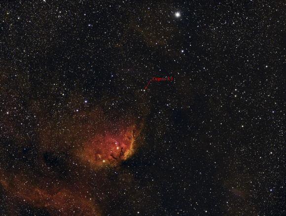 Stellar-mass black hole Cygnus X-1