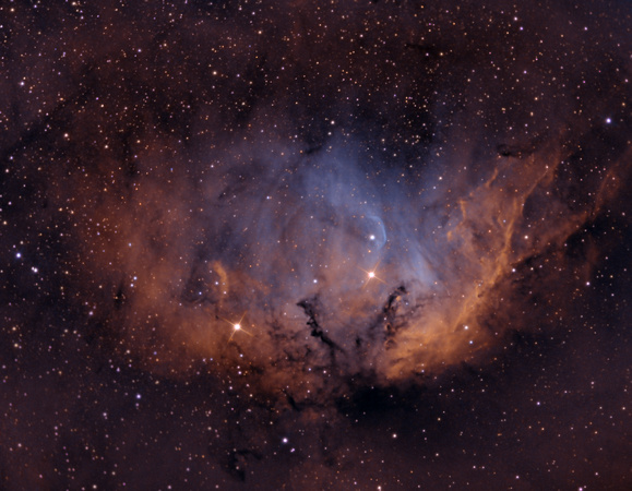 Sh2 101  - Tulip Nebula